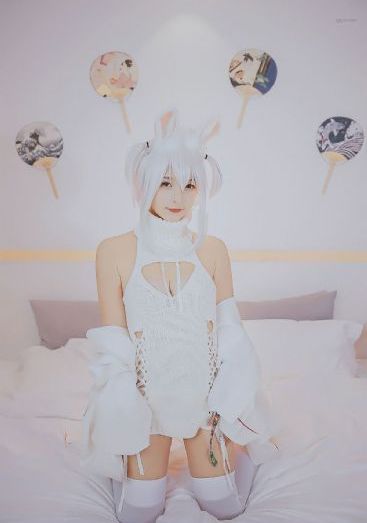 完美世界动漫