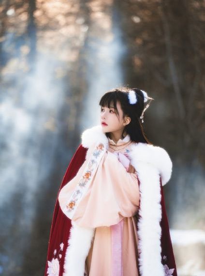 我的美女老板2